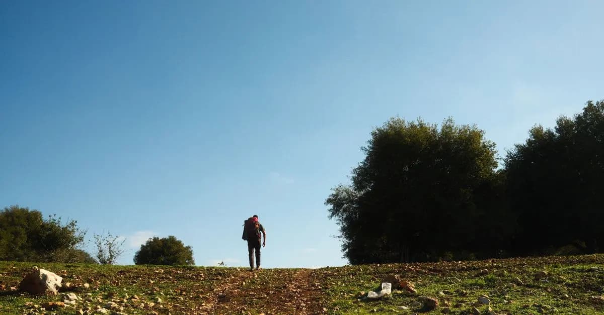 A Guide to Exploring Your Local Countryside