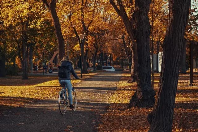 Top 10 Eco-Friendly Leisure Activities to Try This Weekend