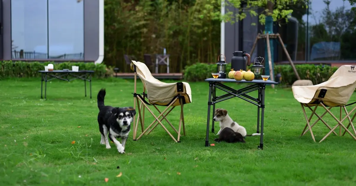 How to Choose the Best Leisure Equipment for Your Activities