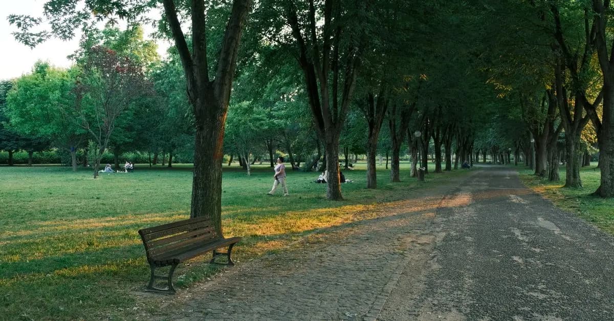 The Best Activities for Relaxation and Well-Being