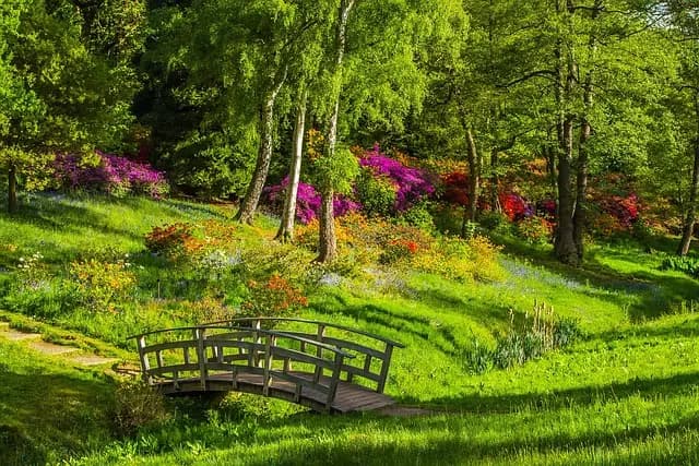Top 10 Unique Leisure Activities to Try for Relaxation