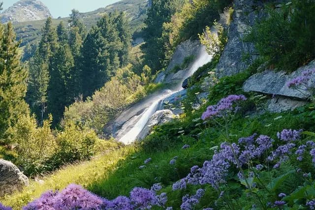 Guide Pratique pour Découvrir des Loisirs Écologiques