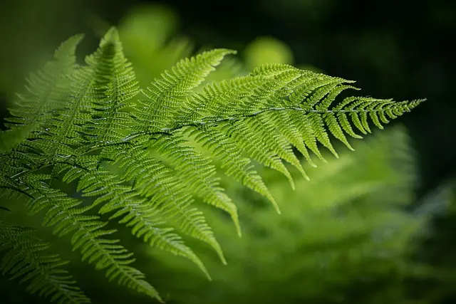 10 Must-Try Eco-Friendly Leisure Activities for a Greener Lifestyle