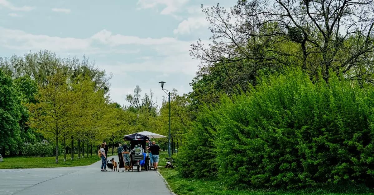 The Best Eco-Friendly Ways to Enjoy Leisure Activities