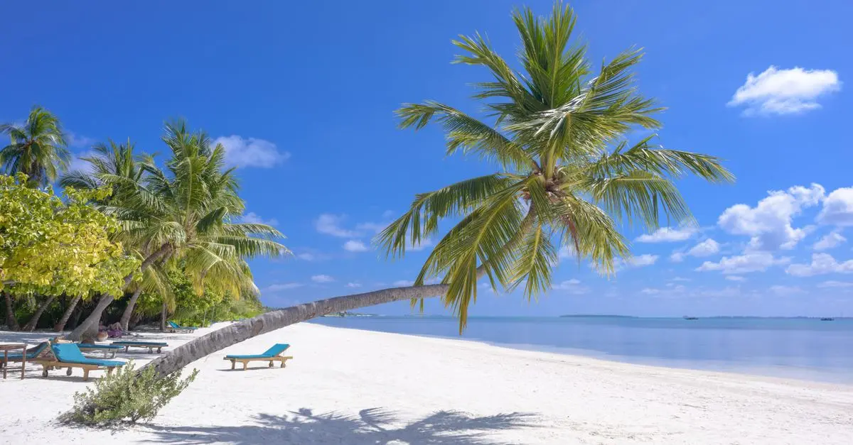 Comparatif des Lieux de Vacances de Relaxation
