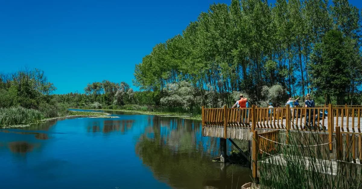 Exploring Unique Outdoor Leisure Activities for Relaxation