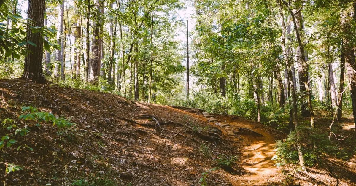 Exploring the Benefits of Outdoor Leisure Activities