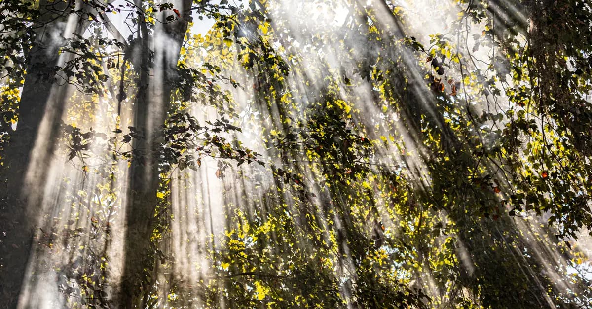 10 Unique Outdoor Leisure Activities to Enhance Your Well-Being