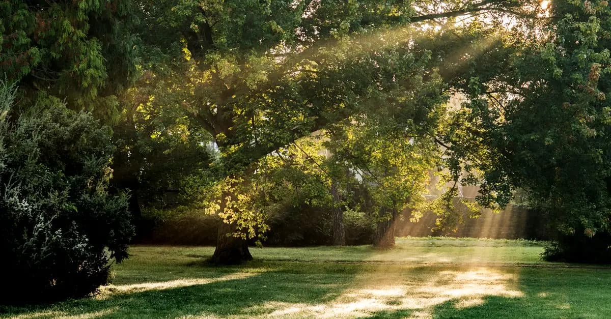 10 Unique Leisure Activities to Try for a Refreshing Experience