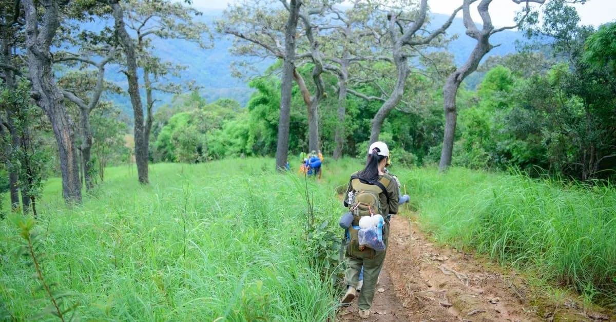 10 Popular Outdoor Leisure Activities to Enjoy this Summer