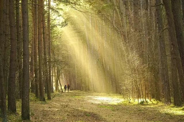 Comment Trouver des Activités de Loisirs Écologiques Près de Chez Vous