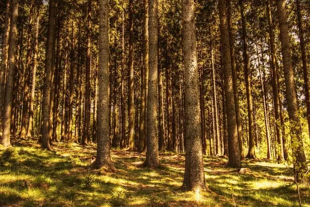 Top 10 Unique Outdoor Leisure Activities to Try This Weekend