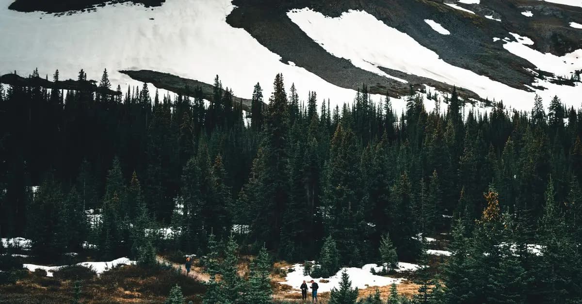 Exploring National Parks: Tips for First-Time Visitors