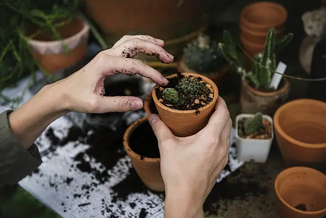 Comment Trouver des Loisirs Écolos à Pratiquer