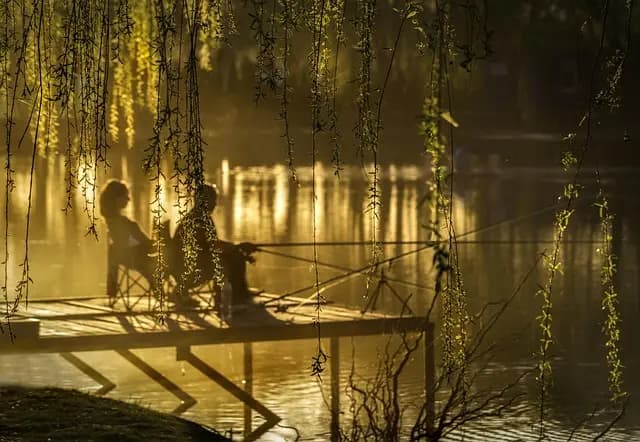 Discover Unique Leisure Activities to Try This Weekend