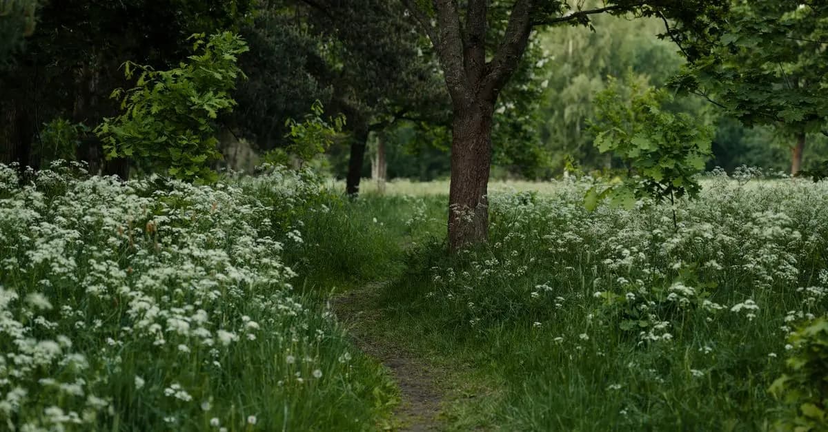 Exploring the Best Leisure Activities for Relaxation