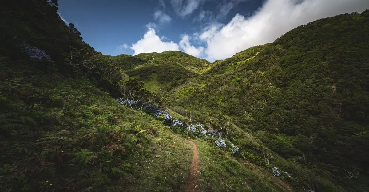 Discover the Best Outdoor Leisure Activities for Relaxation