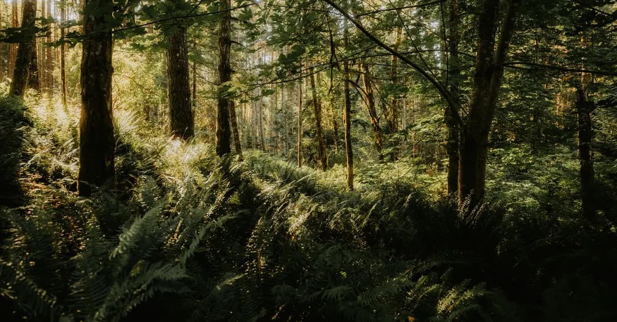10 Unique Leisure Activities to Try for a Refreshing Experience