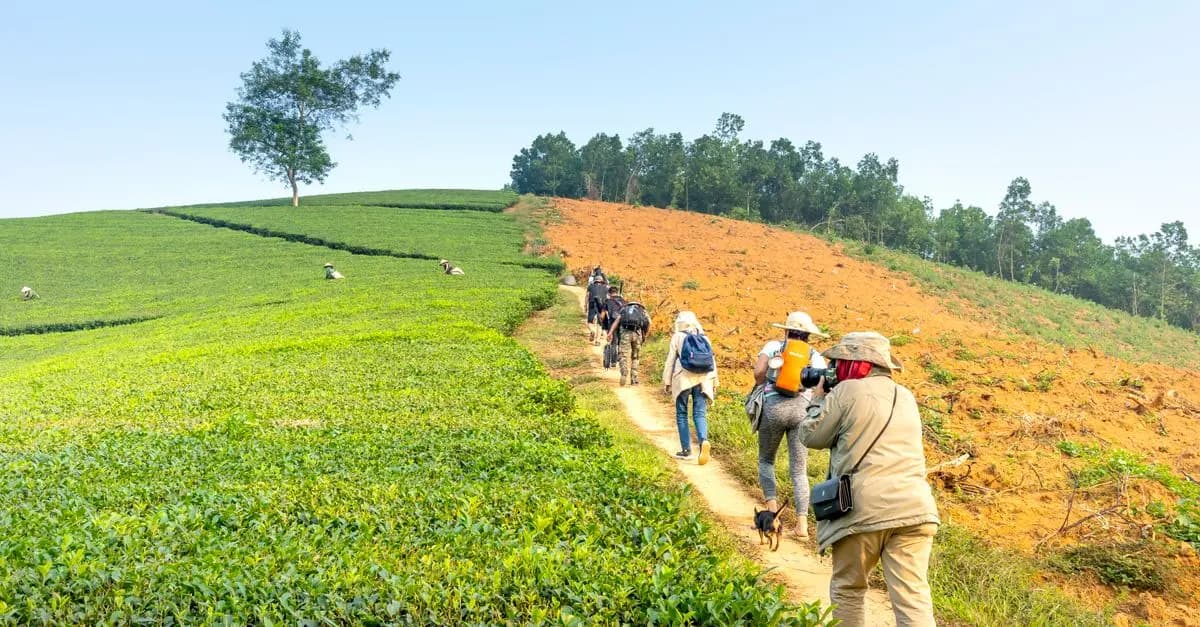 Top Outdoor Leisure Activities for Relaxation