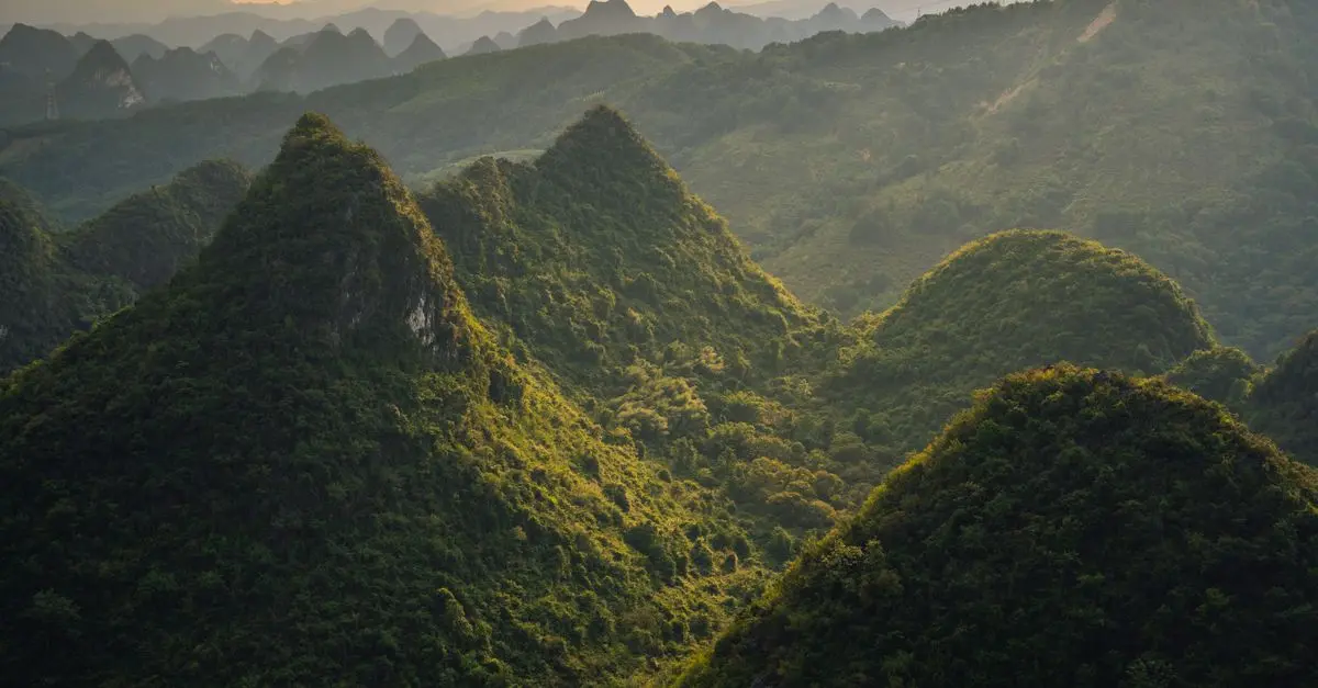 Top 10 des Parcs Nationaux à Visiter pour un Loisir Naturel