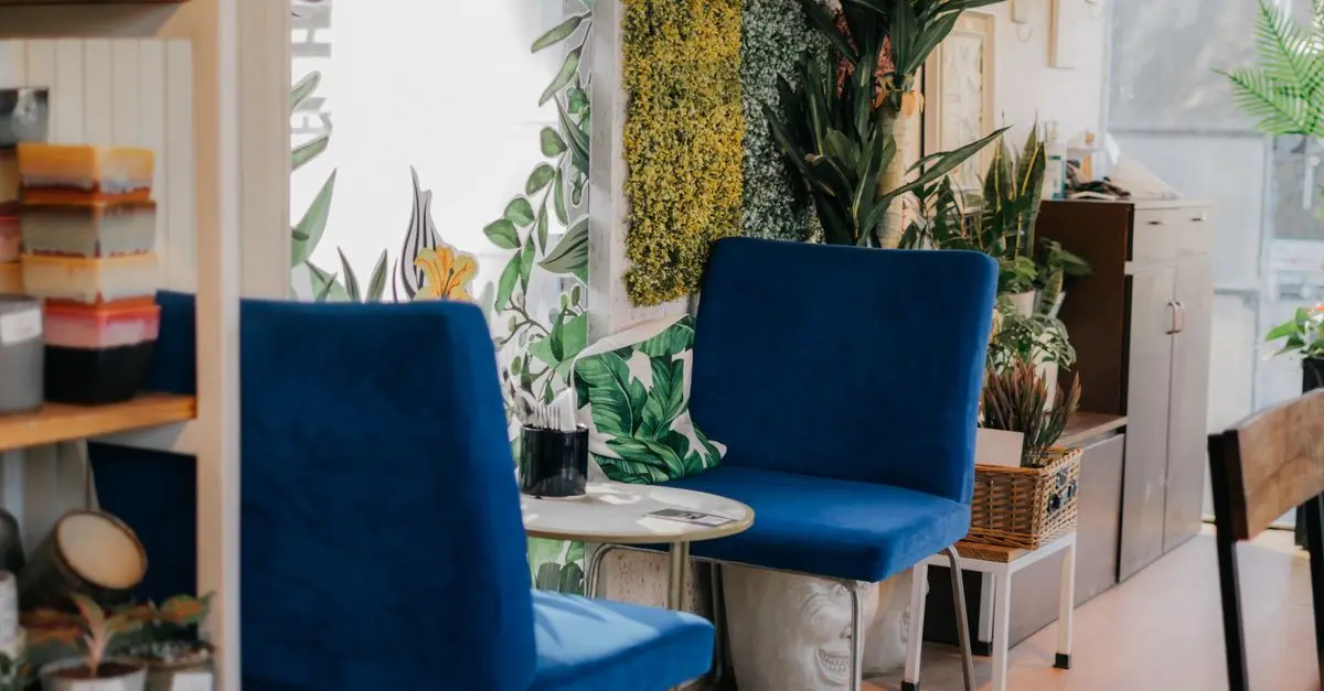 The Best Indoor Plants for Your Leisure Space