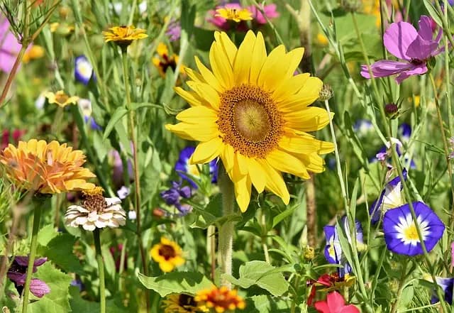 Top Creative Leisure Activities to Try for Inspiration