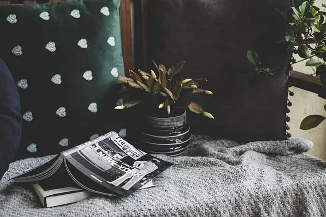Comment Créer un Espace de Loisirs Harmonieux à Domicile