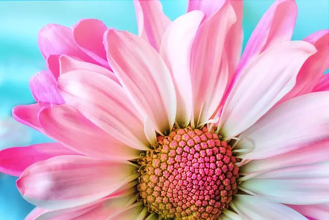 10 Inspiring Leisure Activities to Boost Your Creativity