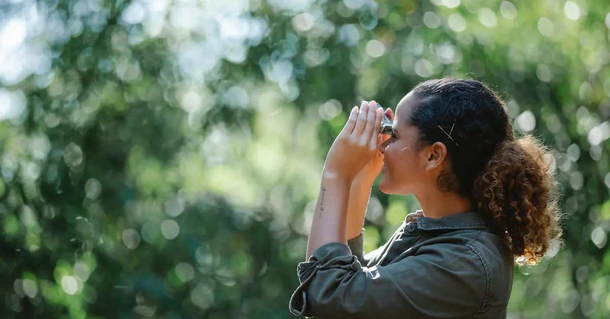 How to Start Birdwatching: A Comprehensive Guide