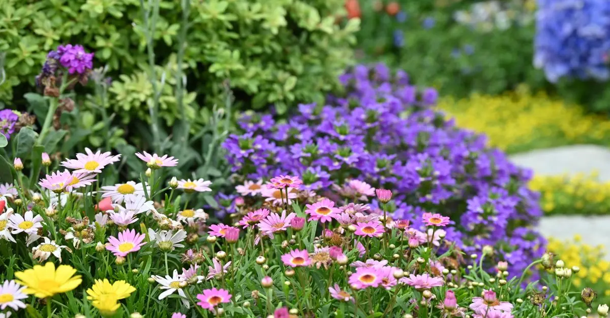 Top 10 Eco-Friendly Leisure Activities to Try