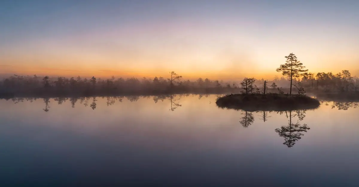 A Comprehensive Guide to Mindful Leisure Activities