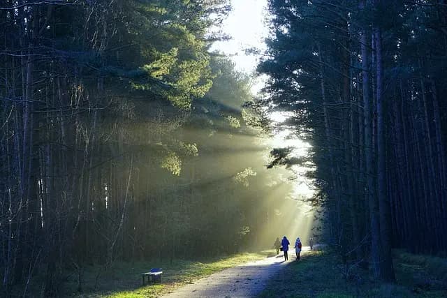 10 Outdoor Activities to Boost Your Well-Being