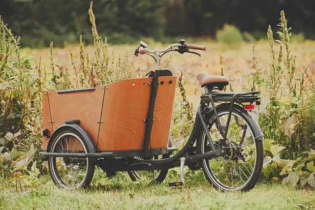 Exploring the Best Eco-Friendly Leisure Activities