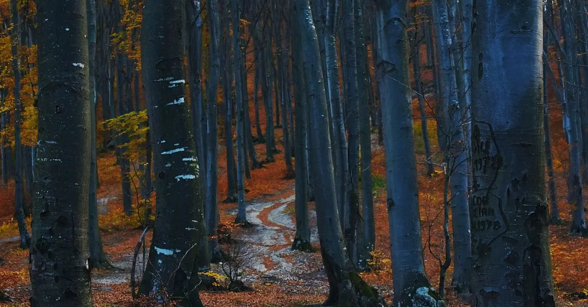 10 Randonnées Incontournables Pour les Amoureux de la Nature