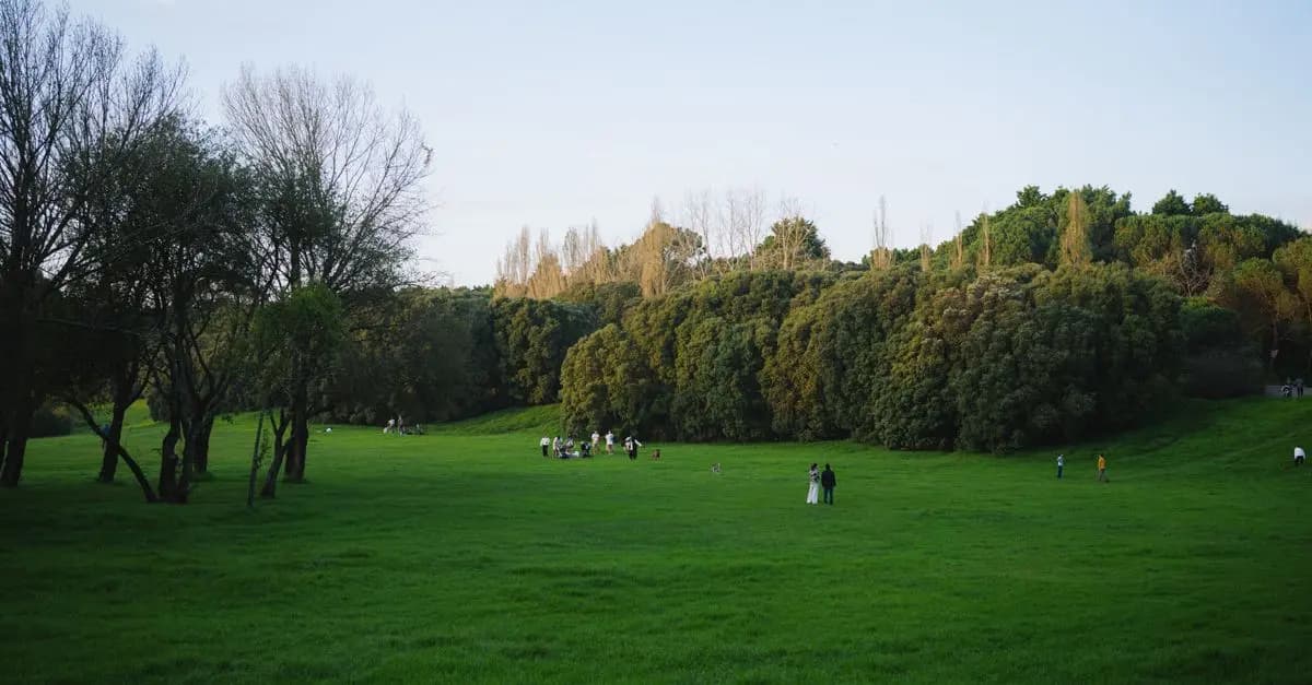 Top 10 Benefits of Outdoor Leisure Activities for Mental Health