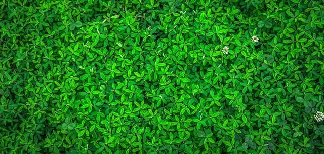 10 Activités de Loisirs Écologiques à Découvrir près de Chez Vous