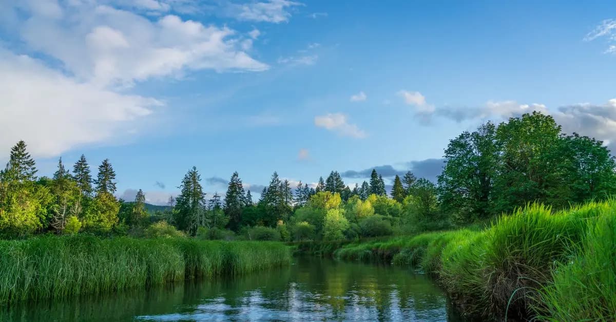 Exploring the Benefits of Mindful Leisure Activities