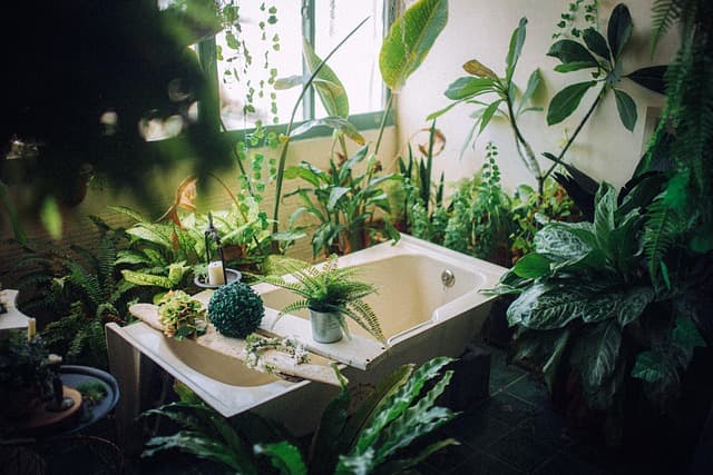 Top 10 Unique Leisure Activities to Try at Home