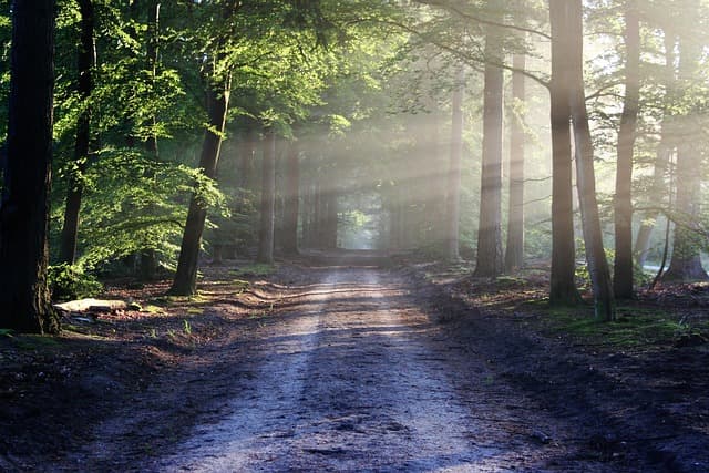 Top 10 Eco-Friendly Leisure Activities to Boost Your Well-Being