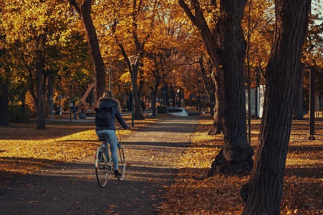 10 Tips for Finding Your Ideal Leisure Activity
