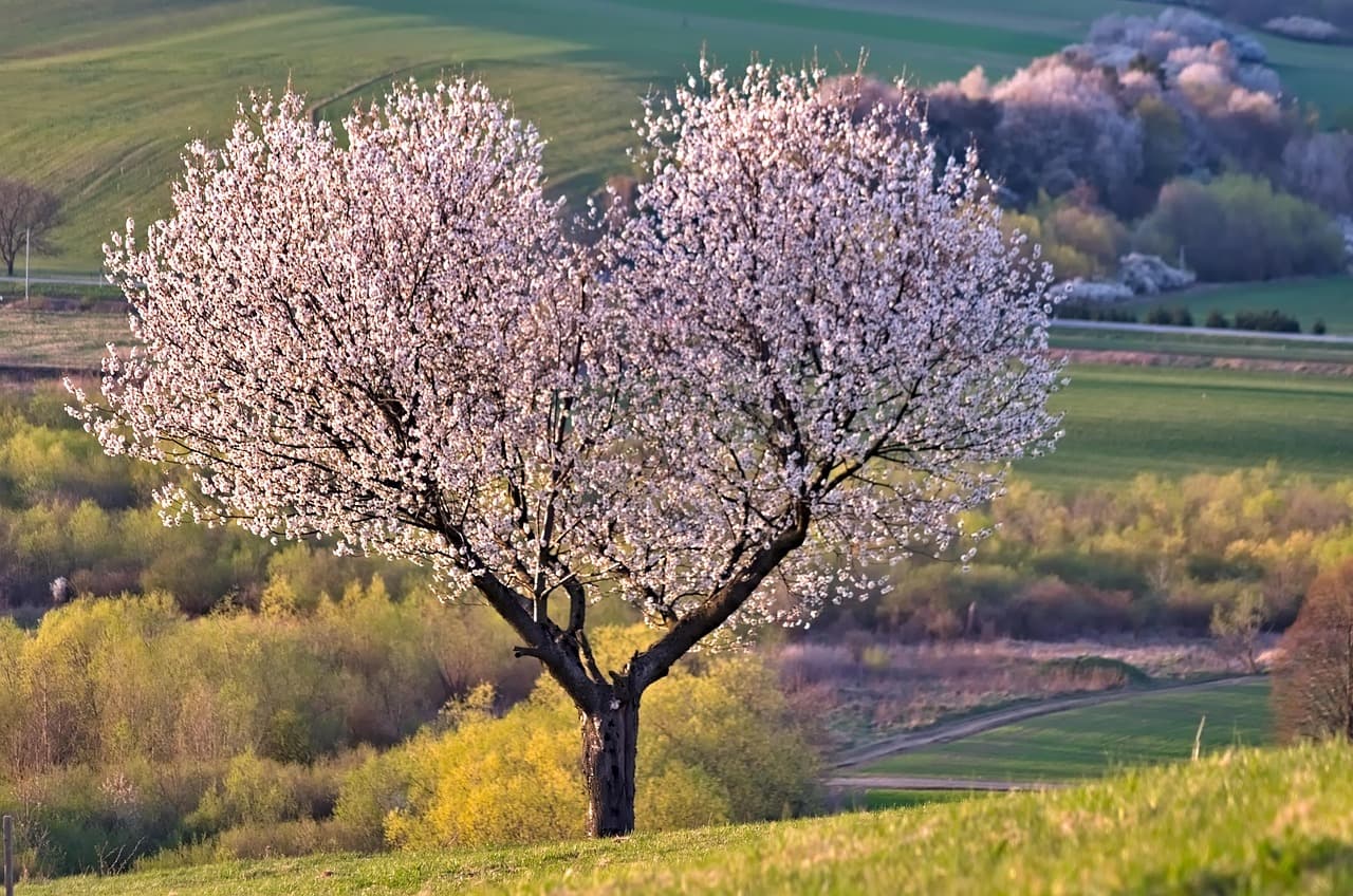 The Best Leisure Activities to Boost Your Well-Being