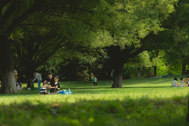 10 Activités de Loisirs à Essayer Cet Été