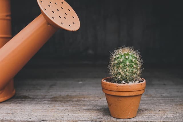 10 Unique Indoor Leisure Activities You Must Try