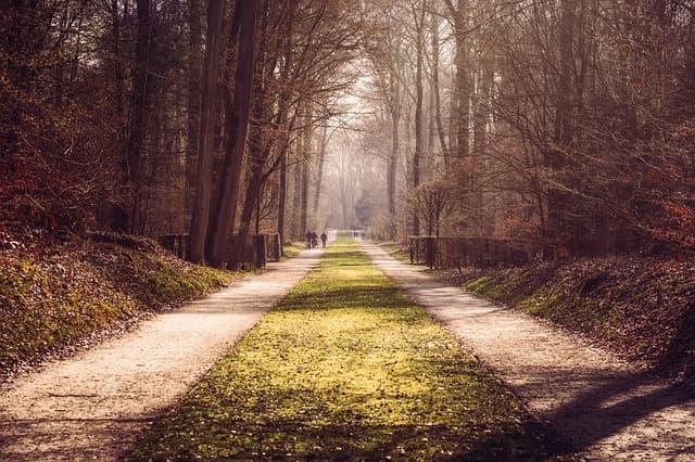 10 Outdoor Activities to Boost Your Well-Being