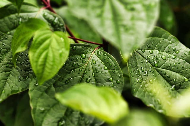Exploring the Best Eco-Friendly Leisure Activities