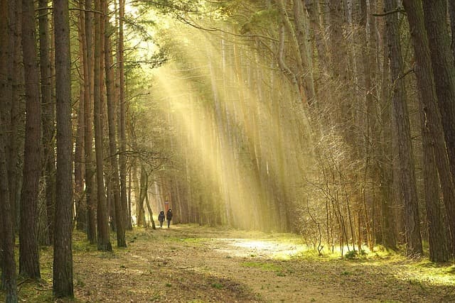 Exploring the Top Outdoor Leisure Activities for Everyone